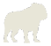 The Bulldog — Risk-Adjusted Stock Analysis