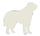 The Saint Bernard — Fundamental Stock Analysis