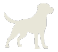 The Labrador